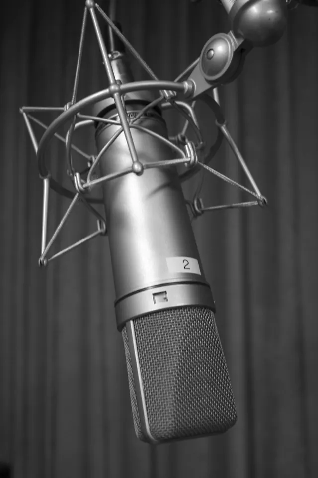 A studio microphone hanging in its shock mount
